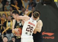 易游体育-河南男篮客场告捷，坚定信心冲击季后赛的简单介绍