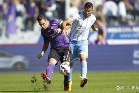 M6体育-包含佛罗伦萨客场逆袭，中场连续进球的词条