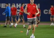 易游体育-关于塞尔维亚国家队在竞技场上大放异彩，实力强大的信息